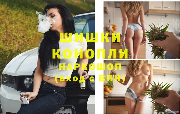 сатива Вяземский