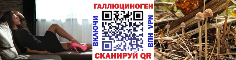 купить  цена  ссылка на мегу как войти  Галлюциногенные грибы Psilocybine cubensis  Бирюсинск 